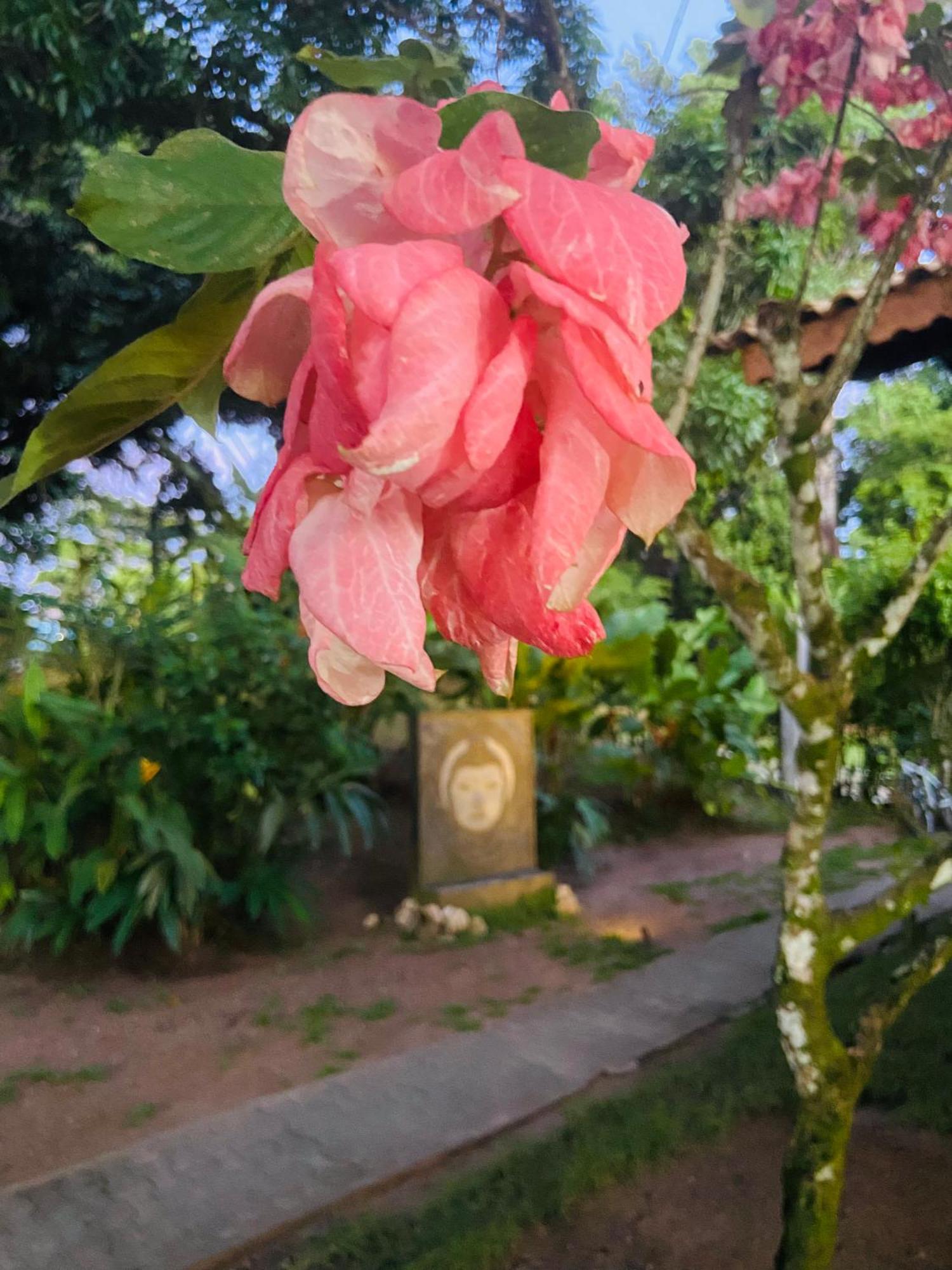 Pousada Coco Dende Velha Boipeba Exteriör bild